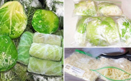 Comment conserver correctement le chou dans le congélateur, le réfrigérateur et sans dispositifs de refroidissement