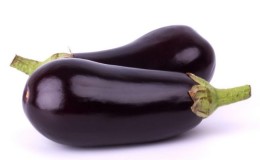 Hybride d'aubergine épris de chaleur 