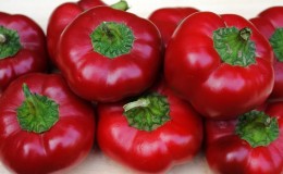 Comment faire pousser correctement les poivrons du groupe Gogoshary: caractéristiques des variétés et commentaires des résidents d'été