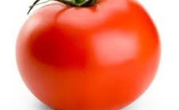 Beaucoup se demandent si une tomate est une baie ou un légume: découvrons-le ensemble et considérons différents points de vue