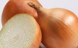 Un hybride précoce à haut rendement d'oignons Cupido pour la culture en serre et en extérieur