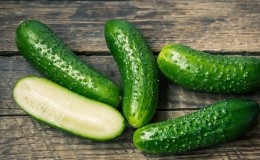 Cadeau des éleveurs allemands - concombres 