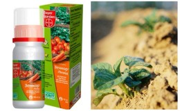 Comment appliquer des désherbants sur les pommes de terre