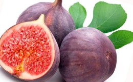 Propriétés utiles des figues pour les femmes et les règles de son utilisation