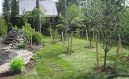 Le meilleur moment pour planter des arbres fruitiers dans la région de Moscou: planter au printemps ou à l'automne?