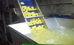 Qu'est-ce que la sulfitation de la pomme de terre et à quoi ça sert