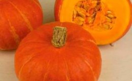 Citrouille Hokkaido rouge-orange avec saveur de noisette et haute teneur en vitamines et fibres