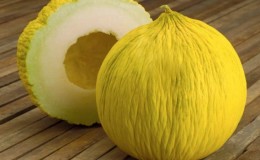 Pourquoi le melon a-t-il un goût amer et pouvez-vous le manger