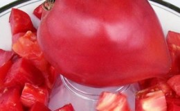Une variété hybride précoce de sélectionneurs sibériens - la tomate Obskie Kupola et commentaires des résidents d'été sur ces tomates