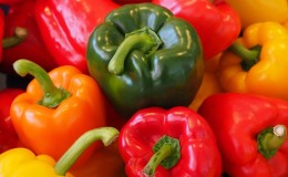 Les meilleurs poivrons doux précoces pour une utilisation en extérieur et en serre