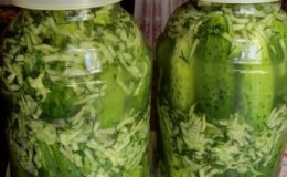 Nous fermons les concombres dans notre propre jus rapidement et savoureux