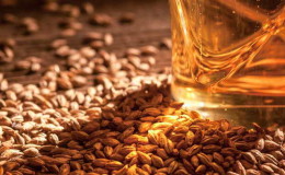 Comment faire du malt d'orge à la maison