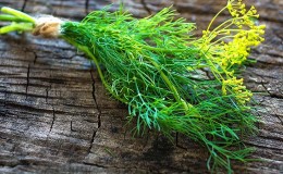 Examen des meilleures variétés d'aneth pour les verts et les parapluies, recommandations pour leur bon choix