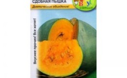 Un hybride idéal pour cuisiner de délicieux plats - citrouille 