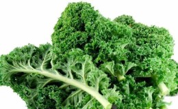 Chou chou frisé - de quel type de plante s'agit-il et à quoi il ressemble