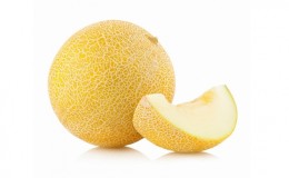 Melon jaune précoce 