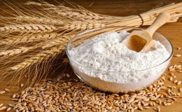 Quels sont les avantages de la variété de blé 