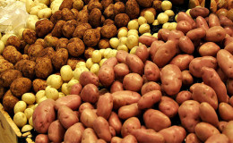 Les avantages et les inconvénients des pommes de terre pour le corps humain