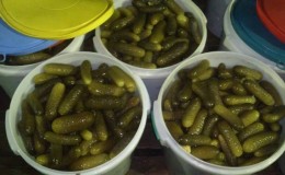 Comment faire refroidir les concombres dans un seau pour l'hiver: les meilleures recettes de femmes au foyer expérimentées