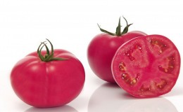 Un hybride produit par des sélectionneurs japonais - la tomate Pink Impression et les nuances de sa culture