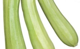 Variété de courgettes Cavili des éleveurs néerlandais: ce que vous pourriez aimer et comment la cultiver correctement