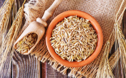 Caractéristiques du traitement du foie et du pancréas avec de l'avoine