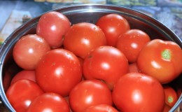 Donnera une récolte tardive, mais répondra aux attentes - tomate 