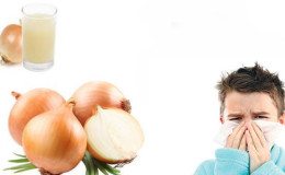 Comment utiliser les oignons pour traiter l'écoulement nasal et la congestion nasale chez l'adulte