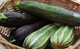 Qu'est-ce que les courgettes courgettes: nous nous familiarisons avec la vue, cultivons sur notre site et l'utilisons pour de délicieux plats