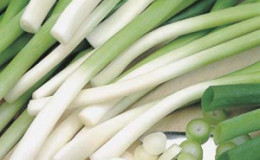 Comment obtenir une riche récolte d'oignons batun: culture et entretien, photo d'un légume