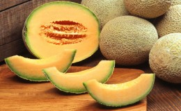 Cantaloup exotique 