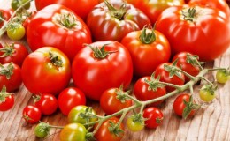 Pourquoi les tomates sont nocives et utiles pour les humains