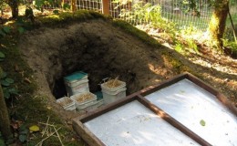 Comment conserver les pommes de terre en hiver dans une maison privée sans cave