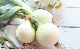 Que se passe-t-il si vous mangez des oignons tous les jours