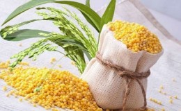 De quelles céréales est fabriqué le millet et pourquoi est-il nécessaire