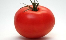 Un hybride persistant des éleveurs japonais - tomate 