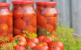 Tomates en conserve pour l'hiver: une sélection des meilleures recettes et des conseils utiles pour la préparation correcte des twists
