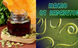 Comment utiliser l'huile de graines de citrouille contre les vers et son efficacité: traitement des parasites avec une méthode populaire populaire