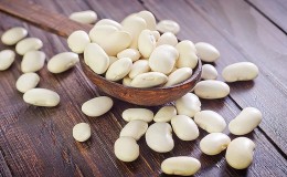 Caractéristiques de la culture des haricots blancs