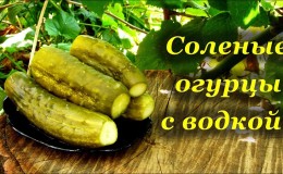 Comment préparer des concombres croustillants avec de la vodka pour l'hiver: recettes et conseils