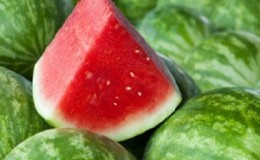 Comment savoir si une pastèque est une fille ou un garçon et choisir un fruit doux et mûr