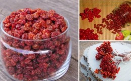 Est-il possible de sécher le viburnum et comment le faire à la maison