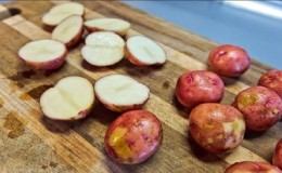 Une variété de pomme de terre sans prétention 