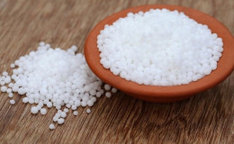 Quand vous devez nourrir des concombres avec de l'urée et comment l'appliquer correctement