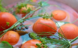 Nous faisons de délicieuses préparations de nos propres mains - tomates brunes salées: les meilleures recettes et conseils pour cuisiner