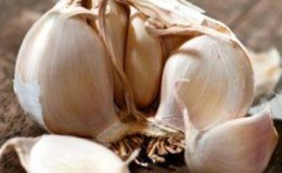 Comment reconnaître l'ail de printemps et d'hiver: différences dans les variétés d'aspect, de goût et d'autres caractéristiques