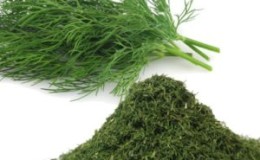 Comment conserver l'aneth pour l'hiver à la maison: les meilleures méthodes de stockage