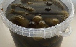 Les meilleures recettes sur la façon de mariner les concombres dans un seau en plastique pour l'hiver et des recommandations pour conserver ces blancs