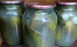 Que faire si les concombres dans le pot sont troubles: comment corriger les erreurs et les éviter dans les espaces suivants