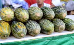 Melon Khasanka parfumé et savoureux: comment choisir et cultiver sur votre site
